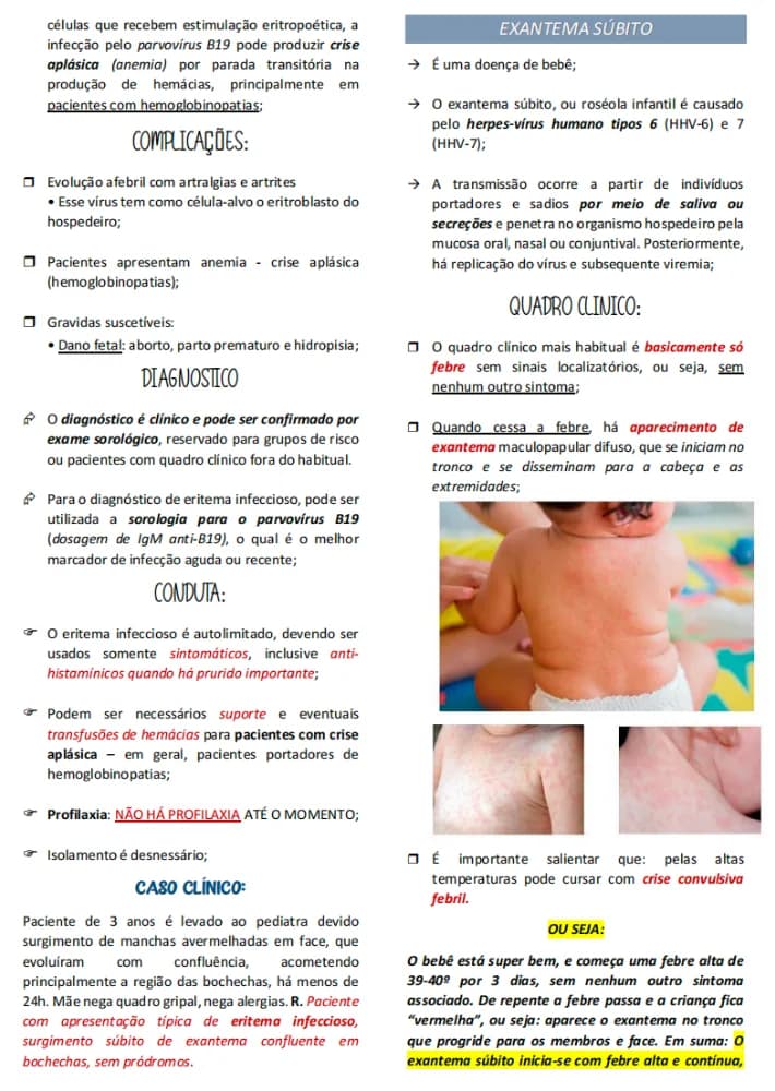 Prévia 4 do material DocBox